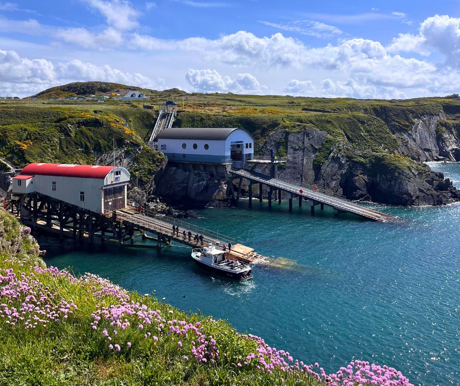 View of St Justinians lifeboat stations from the Wales Coast Path in Pembrokeshire. The image shows two distinctive lifeboat stations - a red-roofed building and a larger white structure - perched on rocky cliffs overlooking turquoise waters. A boat is docked at the pier. The foreground features pink wildflowers, and the background showcases green hills and a blue sky with fluffy clouds. The scene captures the rugged beauty of the Welsh coastline.